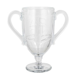 Playstation Trophy Glass